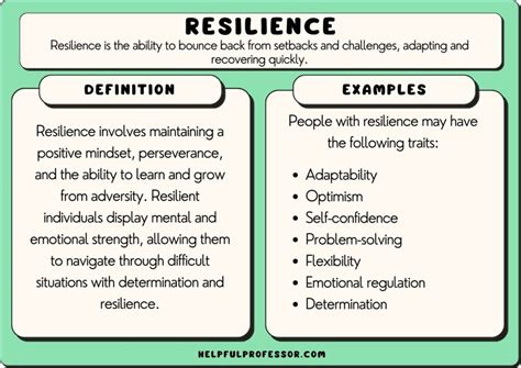 resilience 뜻: 회복력의 의미와 일상 속의 적용