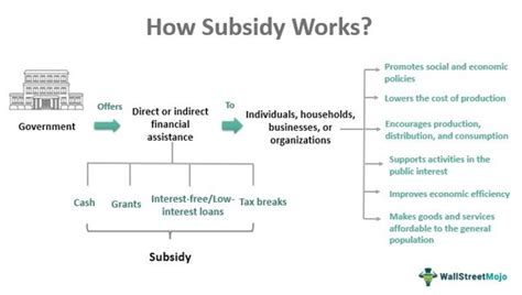 subsidy 뜻: 정부 지원이 경제에 미치는 영향은 무엇인가?